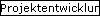 Projektentwicklung